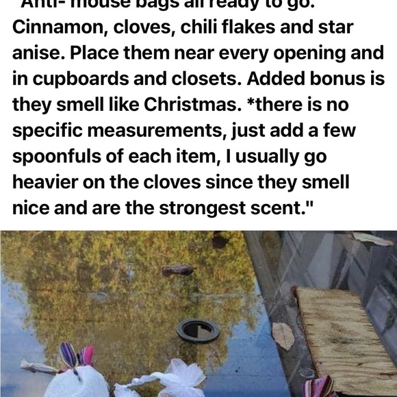 Grey White House Black Market high heeled boots - Picture 10 of 13